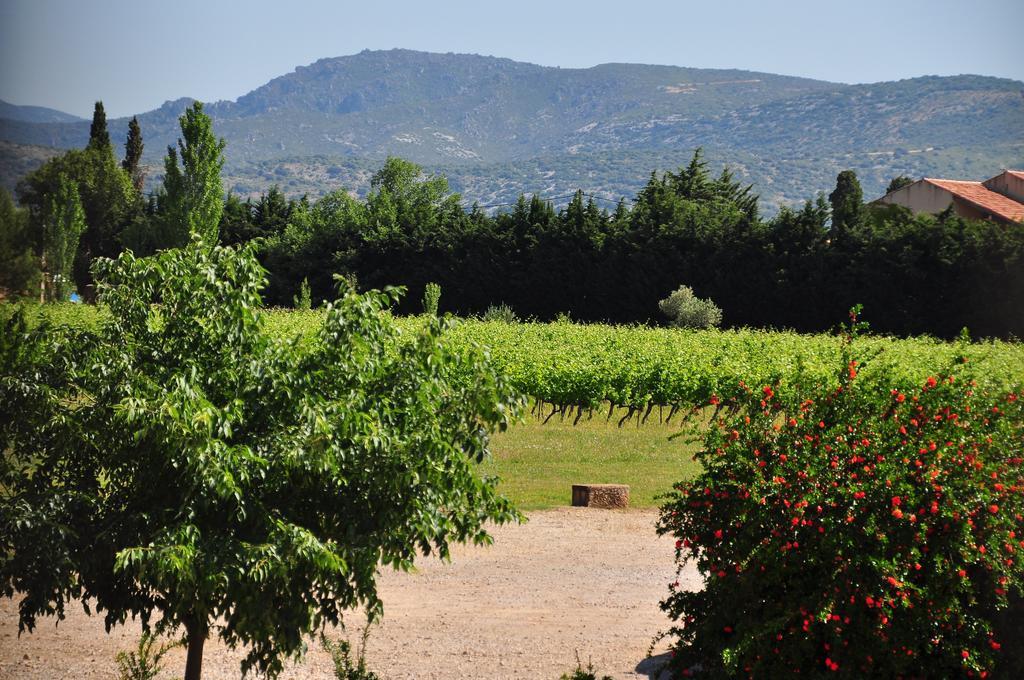 Chateau De Jonquieres - Herault Eksteriør billede